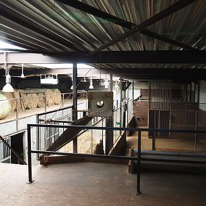 Savanna building with stables for savanna animals, 2019-08-04