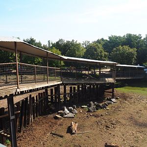 Visitor walkway over the savanna exhibit to the savanna building, 2019-08-04