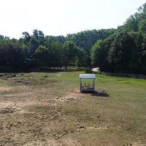 Savanna exhibit, 2019-08-04