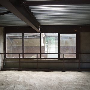 Viewing area African bush elephant stables, 2019-08-04