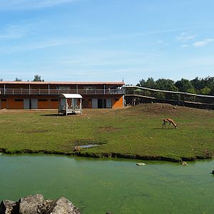 Savanna exhibit, 2019-08-04