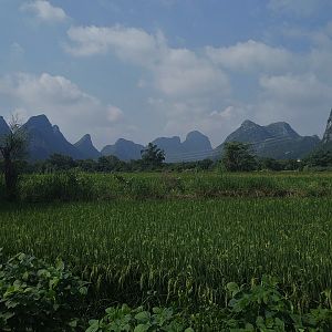 Fields outside Guilin