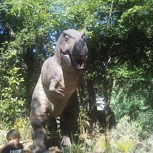 "Tyrannosaurus rex" animatronic