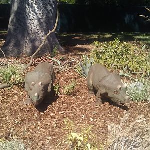 "Baby Triceratops" animatronics