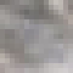 Polar bear in disguise