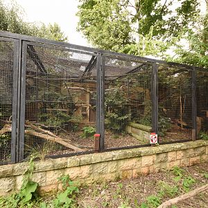 Pygmy marmoset & Golden-headed lion tamarin cage