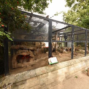 Zebra mongoose cage