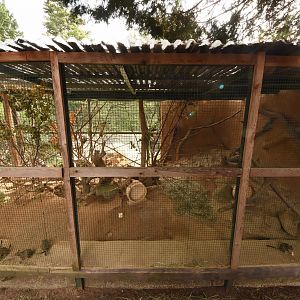 Degu enclosure