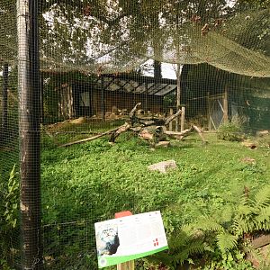 First Manul enclousre