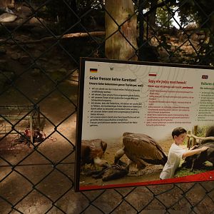 Feeding zoo animals sign & dead piglet