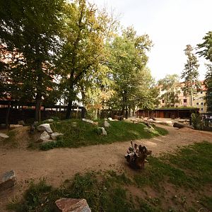 Grey kangaroo enclosure