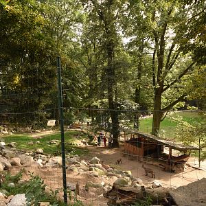 Alpine ibex and marmot enclosure