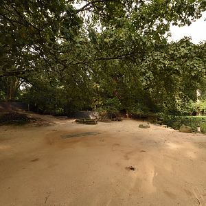 Goitred gazelle enclosure