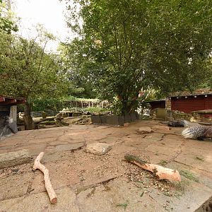 Porcupine enclosure