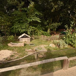 Tortoise enclosure