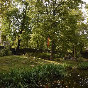 Rhesus macaque enclosure