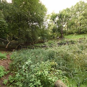 Raccoon, European otter & Muntjac enclosure