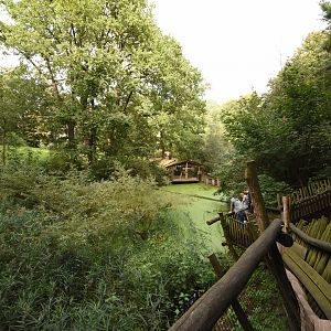 Raccoon, European otter & Muntjac enclosure