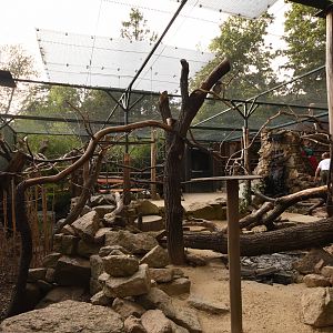 Pere david rock squirrel, Derbyan parakeet, Golden pheasant and Laughingthrush aviary