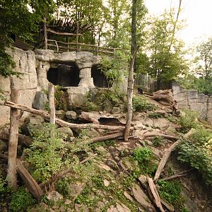 Malayan sun bear enclosure