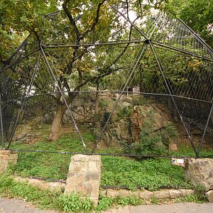 White-tailed sea eagle enclosure