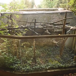 Tamarin outdoor enclosure