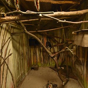 Ground cuscus & Bettong enclosure