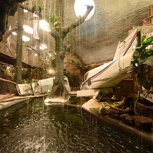 Reptile house - general view