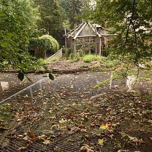 View on small cat enclosures and Gibbons