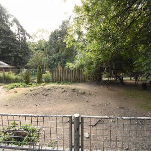 Chacoan peccary enclosure