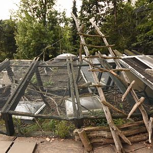 Pygmy marmoset cage on the roof