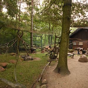 Bush hyrax, Cape ground squirrel and Spurred tortoise walkthrough
