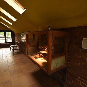 Elephant house - visitor part