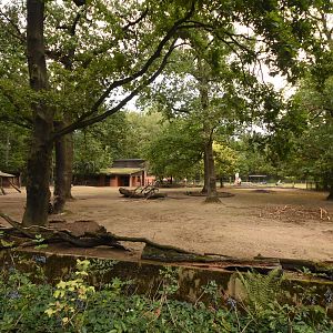 Llama and Nandu paddock