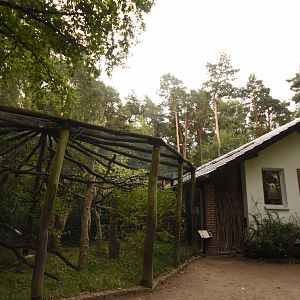 Tapir house - Emperor bearded tamarin outdoors