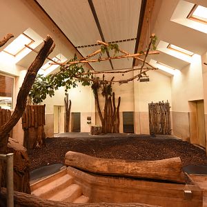 Tapir house - Indoor