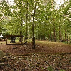 Baird's tapir outdoor enclosure