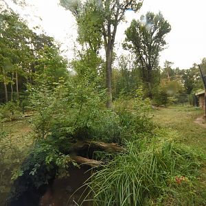 Sumatran tiger enclosure