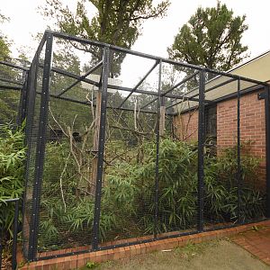 Pere David rock squirrel enclosure