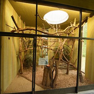 Cat house - Squirrel indoors