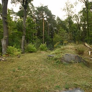 Cat house - Sumatran tiger enclosure