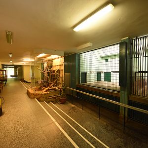 Cat house - General view