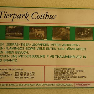 Cat house - Old signs