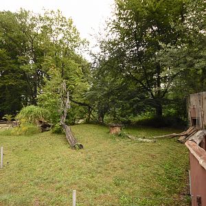 Cat house - Coati outdoors