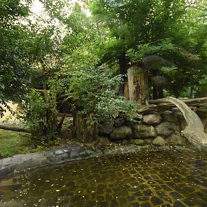 Cat house - N-Chinese leopard cage 1