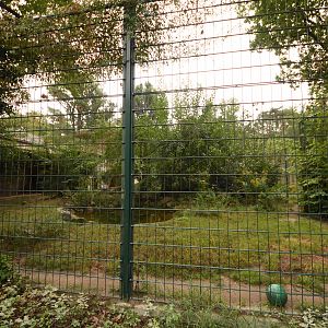 Cat house - N-Chinese leopard cage 2