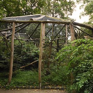 Silvery marmoset enclosure