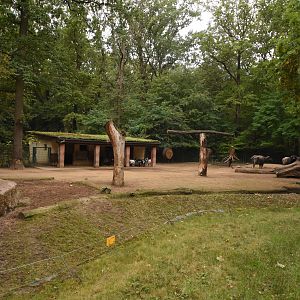Water buffalo enclosure