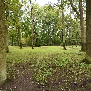 Mara walkthrough enclosure