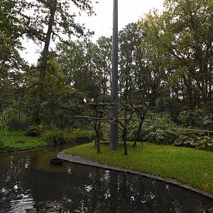 American flamingo aviary